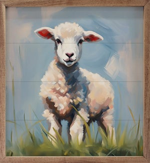 Baby Lamb